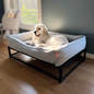 The FÜZI Dog Bed