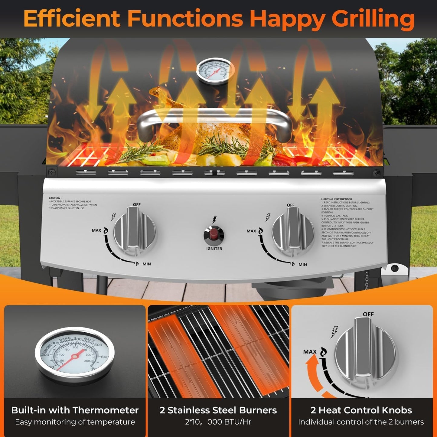 2-Burner Propane Gas Grill,228 Sq. Inch Cooking Area,Outdoor Camping Picnic for Patio,Party,Black