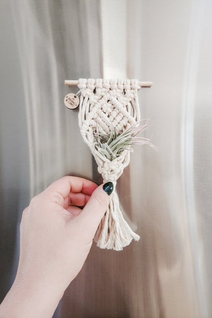 Mini Magnetic Macrame Air Plant Hangers – Handmade Boho Decor
