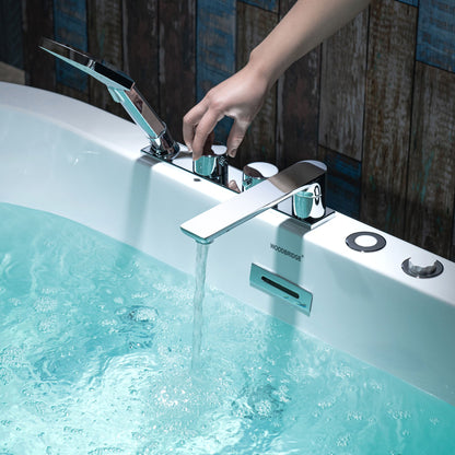 WOODBRIDGE 66-1/2" x 31-7/8" Whirlpool Water Jetted and Air Bubble Freestanding Heated Soaking Combination Bathtub with Tub Filler