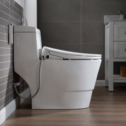 WOODBRIDGE T-0041 Elongated one Piece toilet with Smart Bidet Seat, Electronic Advanced Self Cleaning, Soft Close Lid, Adjustable Water Temperature, LED Nightlight, Heated Seat, Warm air Dryer