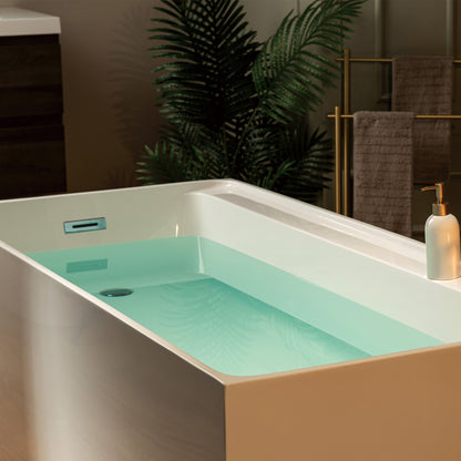 WOODBRIDGE 66-7/8" L x 31-1/2" W Freestanding Contemporary Soaking Bathtub