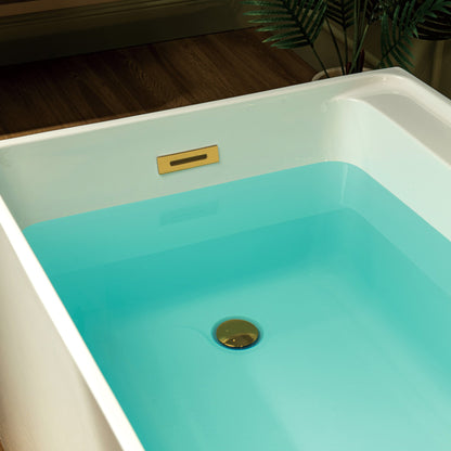 WOODBRIDGE 66-7/8" L x 31-1/2" W Freestanding Contemporary Soaking Bathtub