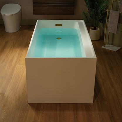 WOODBRIDGE 59" L x 29-1/2" W Freestanding Contemporary Soaking Bathtub
