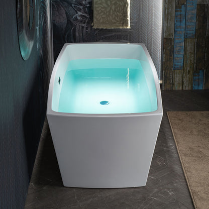 WOODBRIDGE 59" Acrylic Freestanding Double Ended Contemporary Soaking Tub