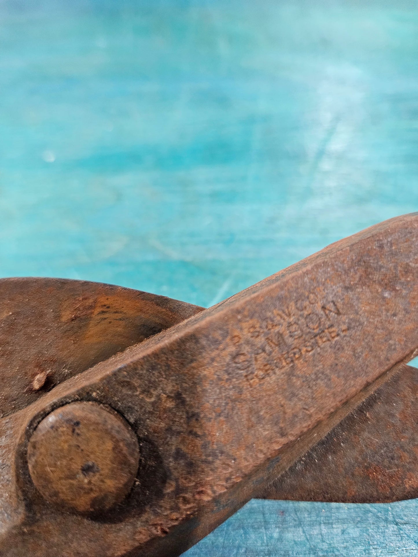 Vintage Forged Snips