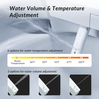 WOODBRIDGE Intelligent Compact Elongated Dual-flush wall hung toilet with Bidet Wash Function, Heated Seat & Dryer. Matching Concealed Tank system and White Marble Stone Slim Flush Plates Included.LT611 + SWHT611+FP611-WH
