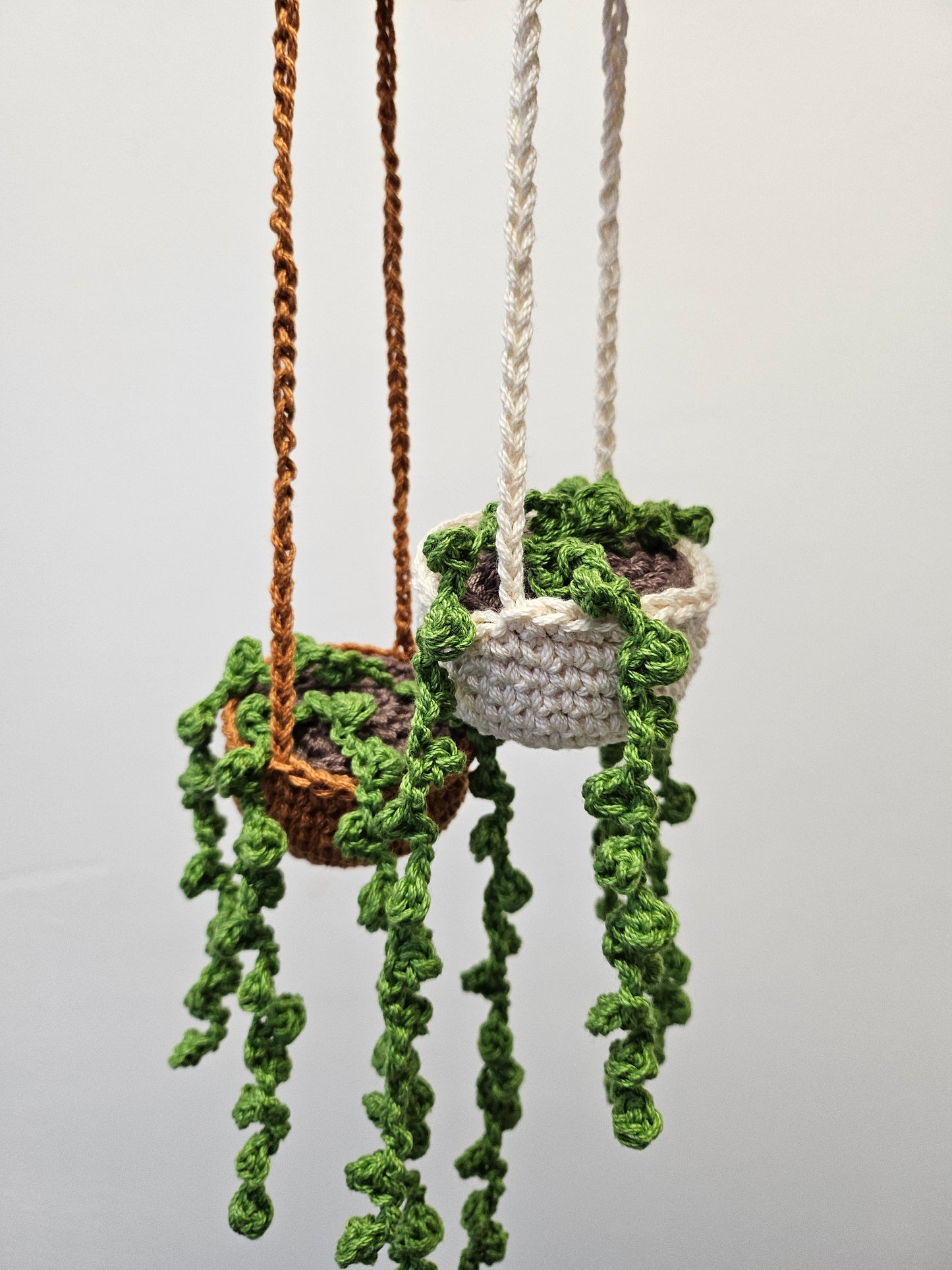 Hanging Pearl Plant