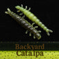 1.3" Caddis Fly Larvae "Stream Weaver"