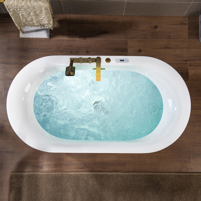 WOODBRIDGE 59" x 31-1/2" Whirlpool and Air Bath Heated Soaking Combination Tub with Adjustable Speed Air Blower, Faucet and Display Control Panel, Brushed Gold Finish Trim and Drain Kit