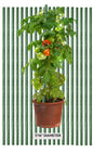 2.5' Sturdy Cross Bars- Garden Stake Segments - flat on both ends