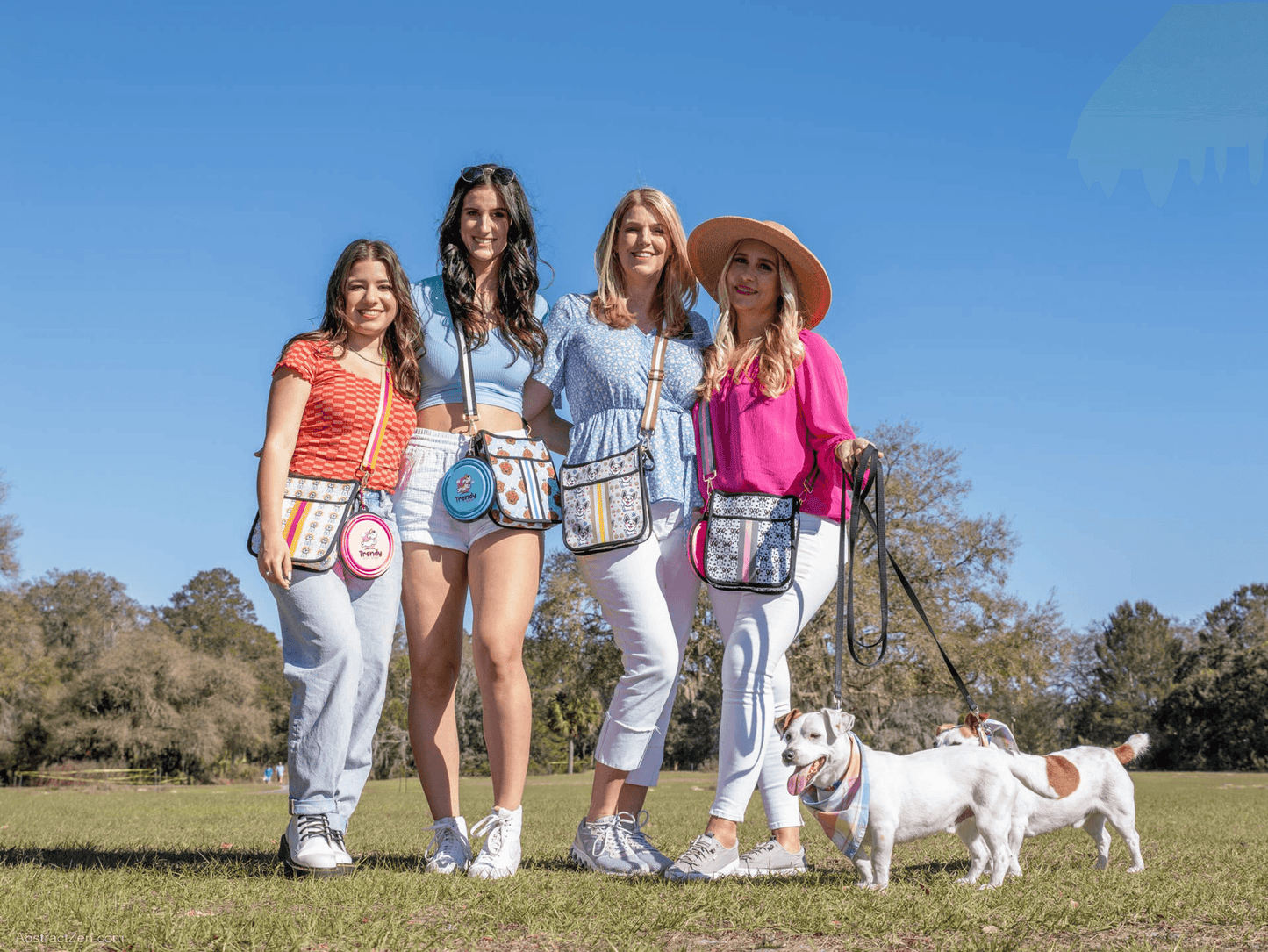 Trendy Dog Walking Bag with Integrated Accessories for Stylish Pet