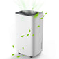 24 Pints Dehumidifier D4212B