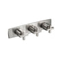 Flusso 240.2715 3/4" Horizontal Thermostatic Valve with 2 Volume Controls & Trim