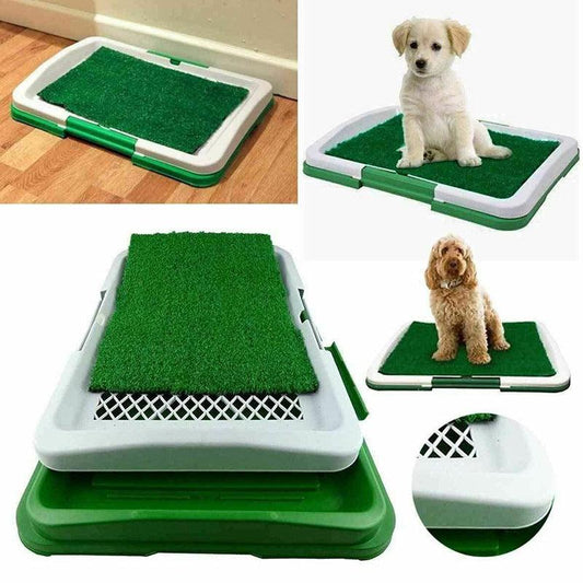 Ultimate Clean Paws Pet Toilet: The Hassle-Free Solution For A