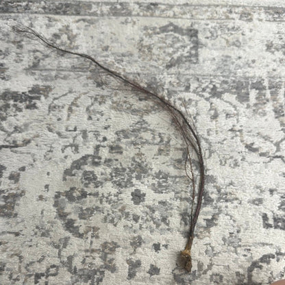 25-30" Black Sea Fan Whip