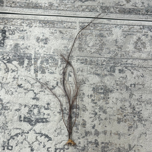 25-30" Black Sea Fan Whip