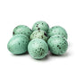 Celadon Coturnix Hatching Eggs