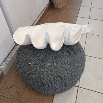 27" Giant tridacna gigas clam shell half