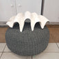 27" Giant tridacna gigas clam shell half