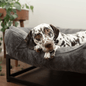 The FÜZI Dog Bed