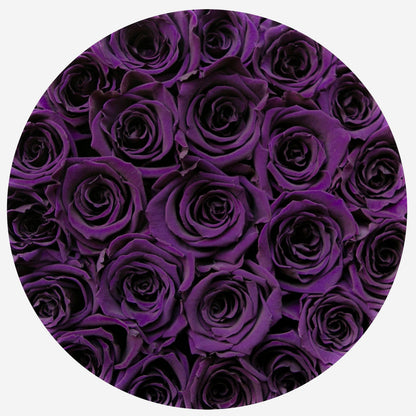Classic Gold Box | Dark Purple Roses