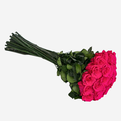 Long Stem Roses | Hot Pink Roses