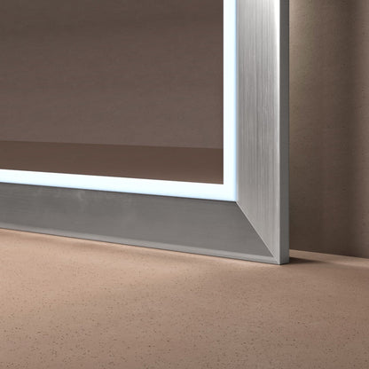 Eviva Sofy 24" x 67" Rectangular Aluminum Aluminum Framed Mirror