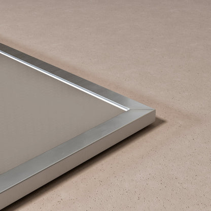 Eviva Vista Brushed Nickel Metal Framed Mirror