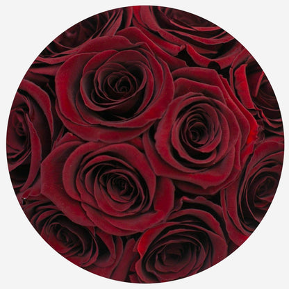 Basic White Box | Love Edition | Red Roses