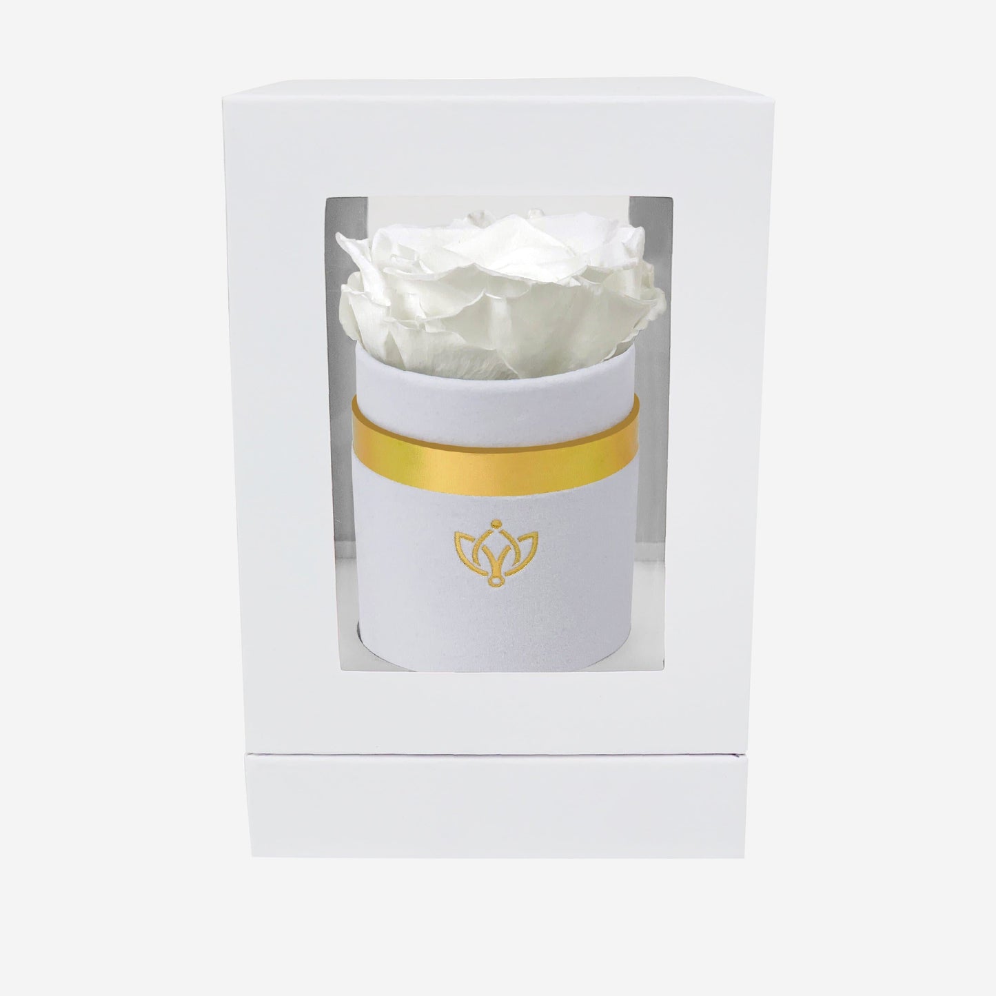 Single White Suede Box | White Rose