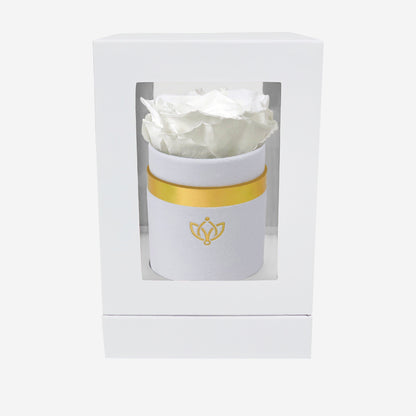 Single White Suede Box | White Rose