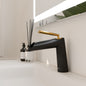 Eviva Black Single-Handle Waterfall Single-Hole Bathroom Faucet with Gold Handle in Black