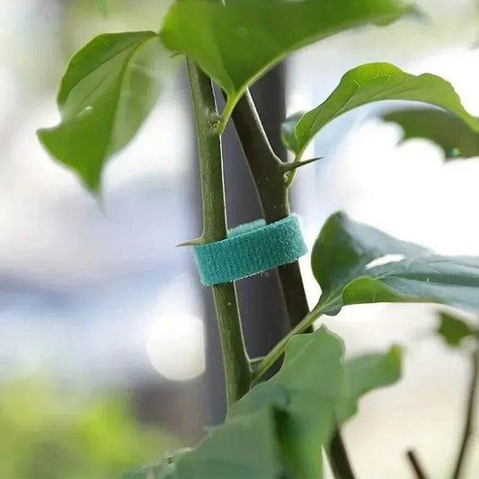 Self-Adhesive Reusable Garden Plant Tie Straps – Hook & Loop Support Tape