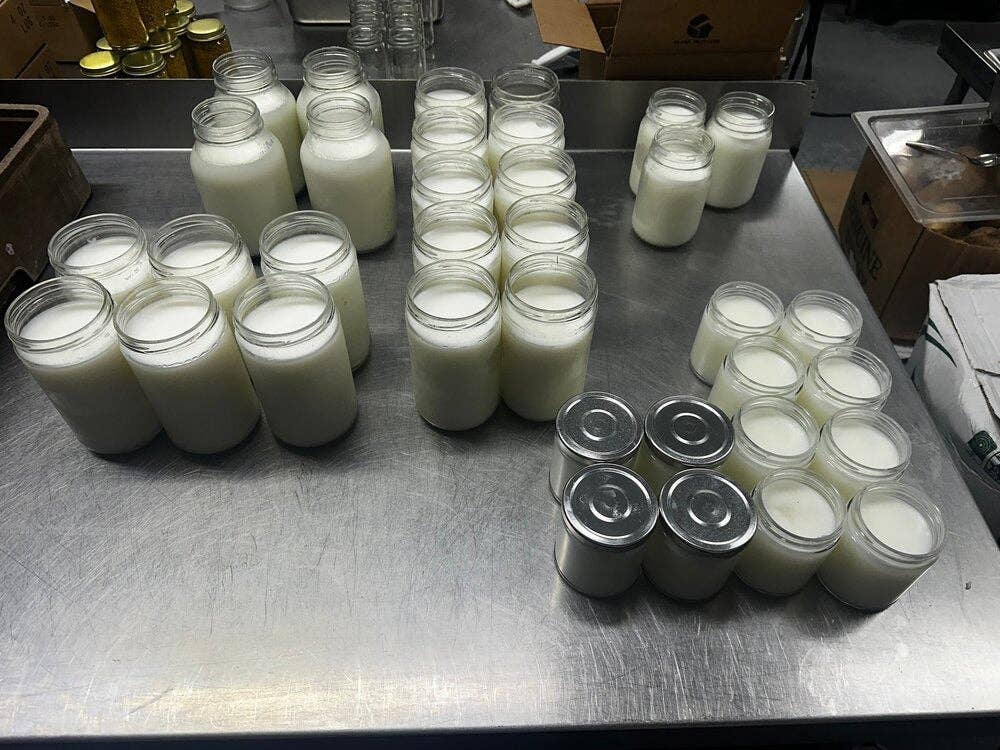 Unscented Beef Tallow - 8 Pounds | 100% Natural & Pure