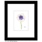 1818 Farm Anemone, Print (#8133D)
