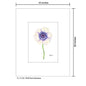 1818 Farm Anemone, Print (#8133D)