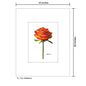 Ambience, Print (#7409A)