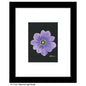 Anemone Light Purple, Print (#7264A)