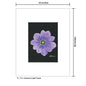 Anemone Light Purple, Print (#7264A)