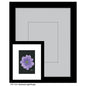 Anemone Light Purple, Print (#7264A)