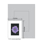Anemone Light Purple, Print (#7264A)