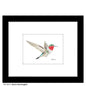 Anna's Hummingbird, Print (#8213A)