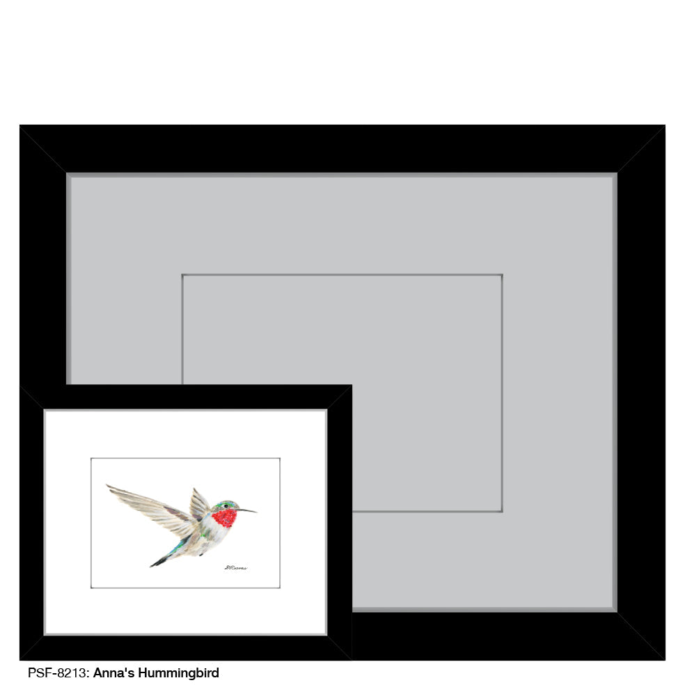 Anna's Hummingbird, Print (#8213A)