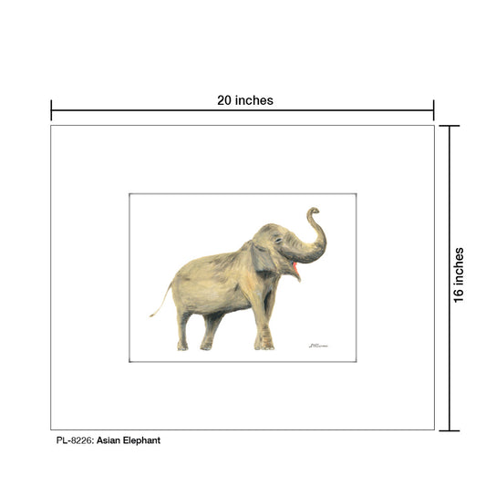 Asian Elephant, Print (#8226A)