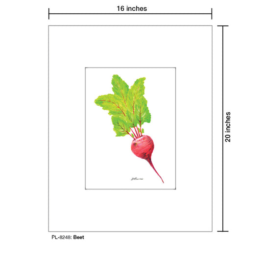 Beet, Print (#8248A)