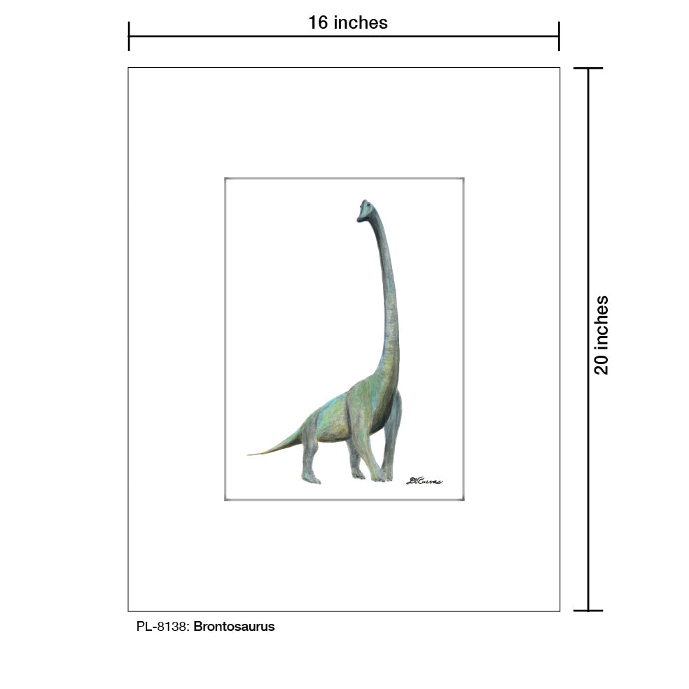 Brontosaurus, Print (#8138A)