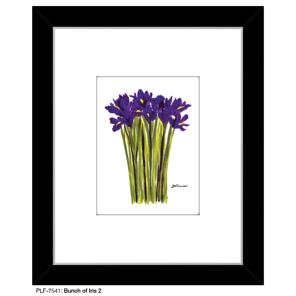 Bunch of Iris 2, Print (#7541A)
