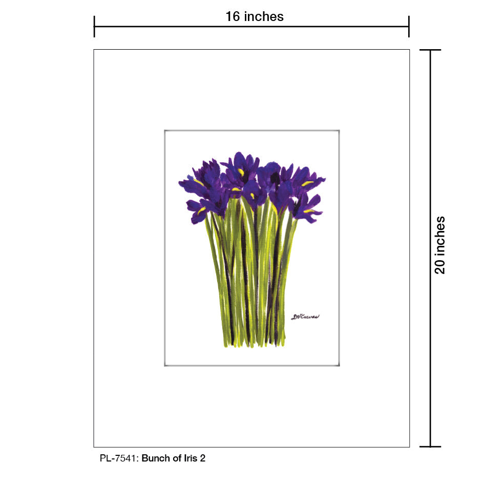Bunch of Iris 2, Print (#7541A)