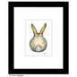 Cottontail, Print (#8033G)